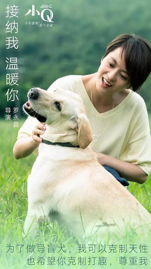 自考没有学位证影响大吗